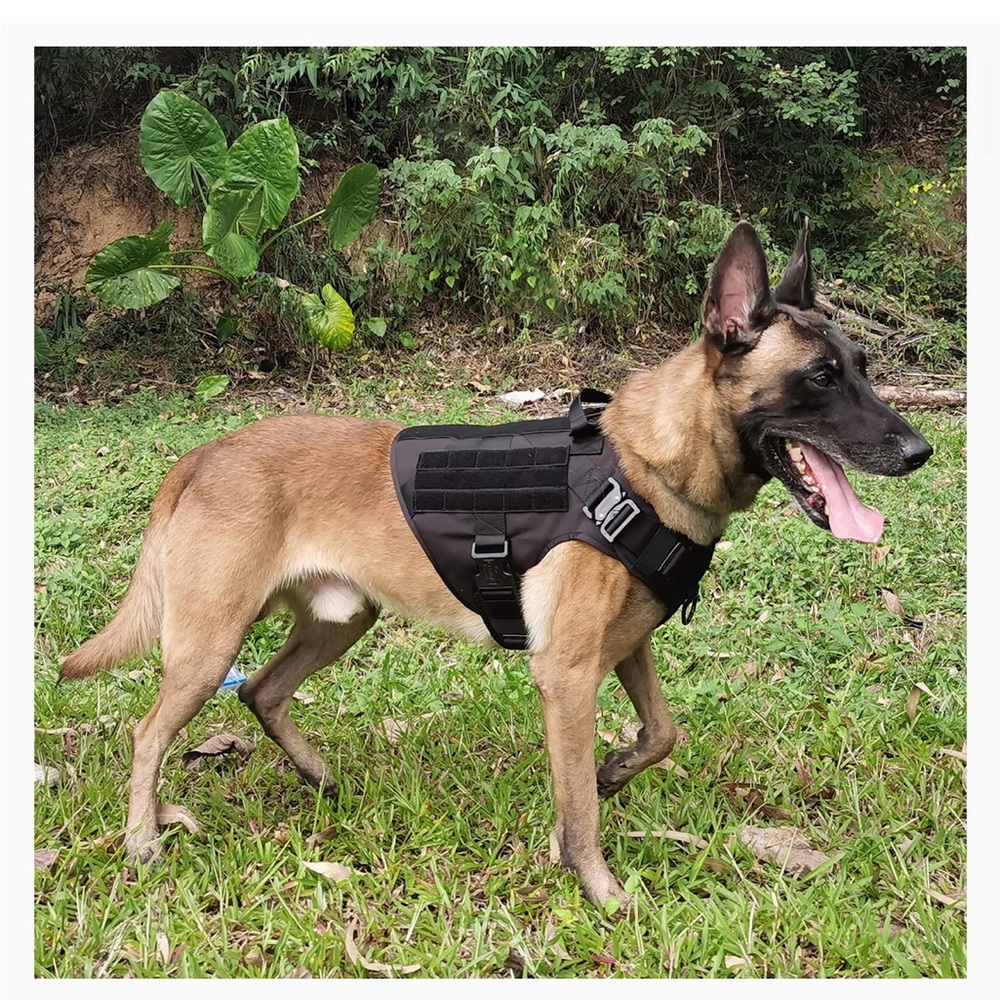 Escape Proof! ICEFANG Tactical Dog Harnest